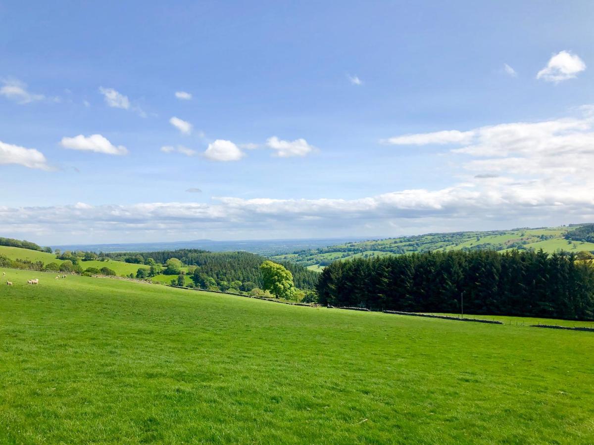 Llansantffraid Glyn Ceiriog Pant Dafydd Gochヴィラ エクステリア 写真